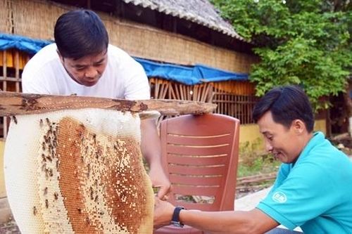 Đẩy mạnh phát triển du lịch nông nghiệp ở vùng châu thổ Cửu Long