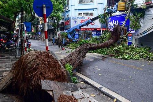 Mưa lớn trong đêm ở Hà Nội: Cây to bật gốc đè vào nhà dân trên phố cổ