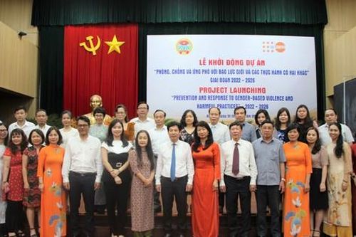 Công bố dự án mới về phòng chống bạo lực giới