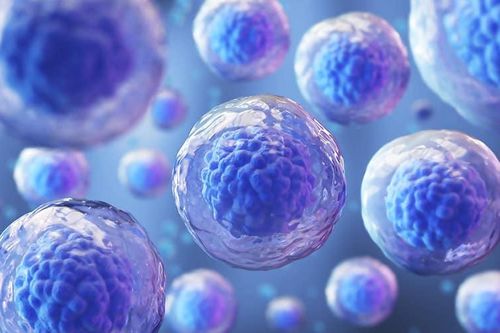 Các nhà khoa học Trung Quốc có thể đã tìm ra bí mật 'ma cà rồng'