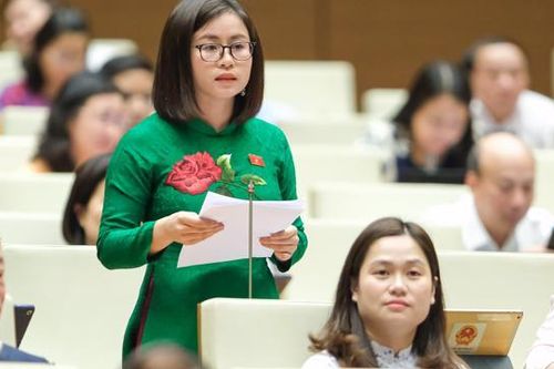 Đại biểu Quốc hội: Sớm luật hóa các quy định về xử lý nợ xấu