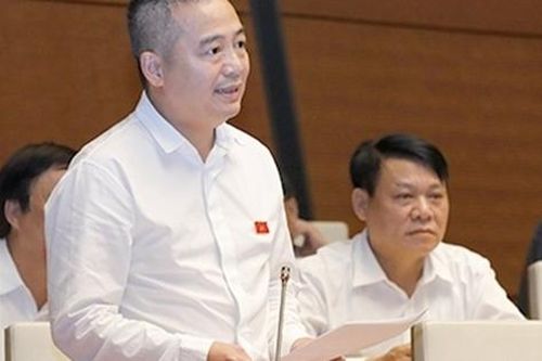 Không thể vì những vi phạm xảy ra mà để cả một hệ thống tê liệt!