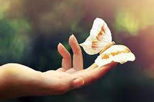 Là phụ nữ, đừng mong đợi ai mang hạnh phúc đến cho mình