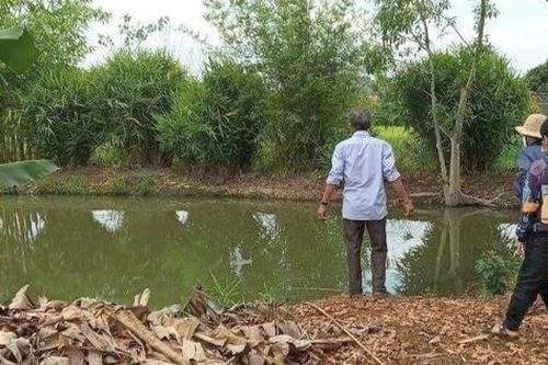 Mẹ đi làm, hai anh em đuối nước dưới ao