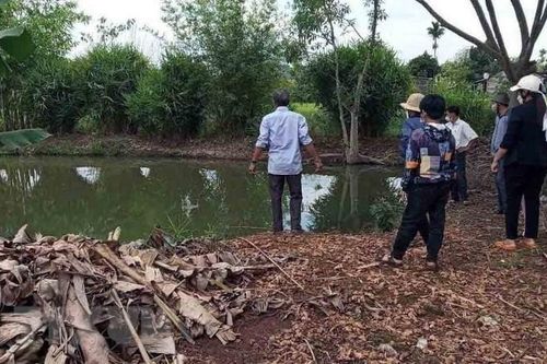 Đắk Nông: Hai anh em ruột chết đuối dưới ao nước sau nhà