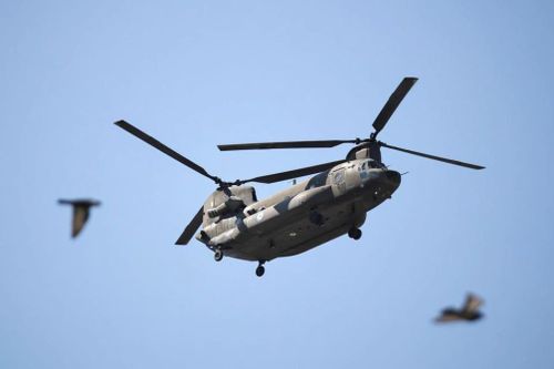 Đức sẽ mua 60 máy bay trực thăng hạng nặng Chinook của Boeing