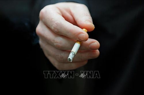 Israel đề xuất dự luật cấm hút thuốc lá trong công viên