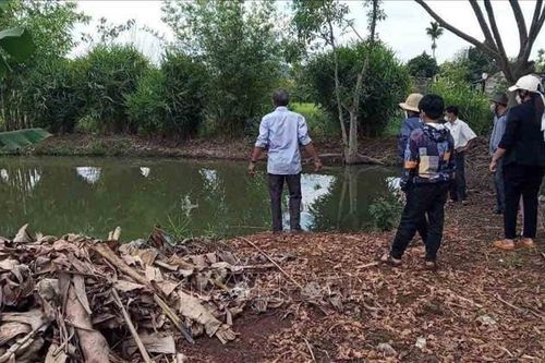 Hai cháu nhỏ đuối nước dưới ao sau nhà