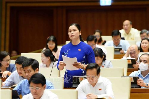 Phiên thảo luận tại Quốc hội làm rõ nhiều vấn đề được cử tri quan tâm