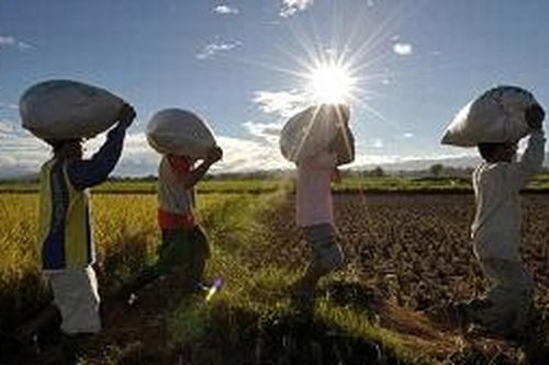 ASEAN phải chuyển đổi để bảo đảm an ninh lương thực
