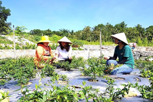 An Giang phát triển khoa học và công nghệ