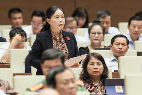 Kỳ họp thứ ba, Quốc hội khóa XV: Đề nghị quan tâm khôi phục, xây dựng Gang Thép Thái Nguyên phát triển vững mạnh