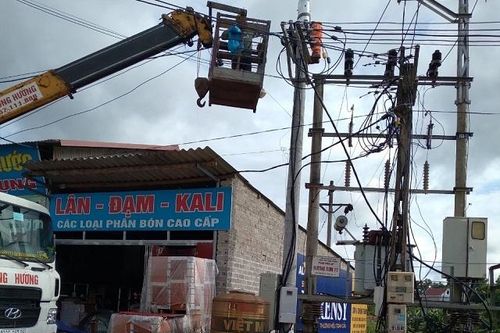 Hợp tác xã nông nghiệp chủ động chuyển đổi số thích ứng với thời đại 4.0