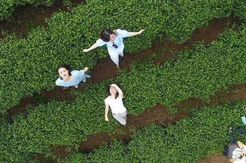 Bài 1: Phát triển du lịch xanh - cơ hội để Việt Nam trở thành điểm đến được lựa chọn hàng đầu