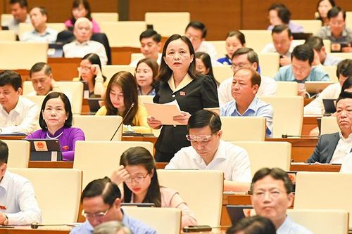 Điều chỉnh những lĩnh vực đặc thù