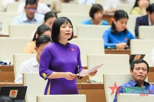 Đại biểu Quốc hội: Nếu chậm trễ sẽ bỏ lỡ 'thời điểm vàng' để phát triển kinh tế - xã hội