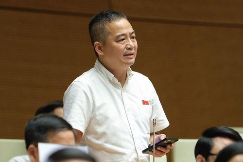 Đại biểu Nguyễn Lân Hiếu: Nên cấm bán sách tham khảo trong nhà trường