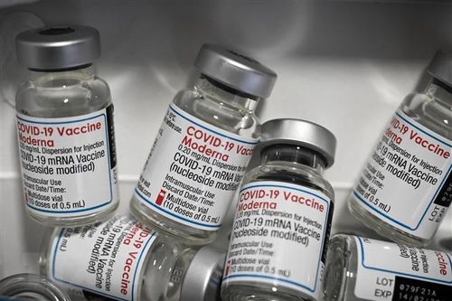 Phụ nữ dễ gặp phản ứng phát ban hơn nam giới sau tiêm vaccine Moderna