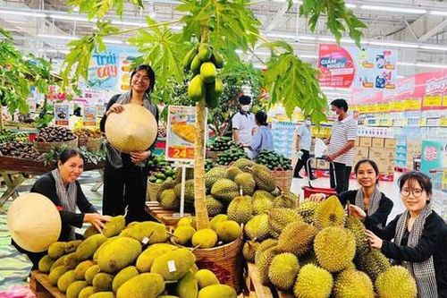 Các loại trái cây đặc sản hội tụ tại Tiền Giang