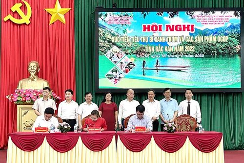 Bộ Công Thương cam kết đồng hành tiêu thụ sản phẩm OCOP Bắc Kạn