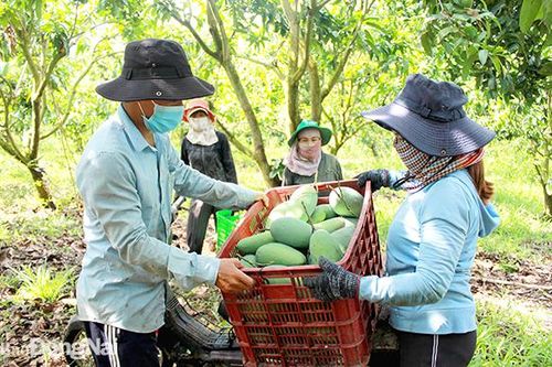 Bài toán lao động nông nghiệp