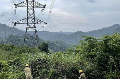 Truyền tải điện Tây Bắc 2 thực hiện phòng chống cháy hành lang an toàn lưới điện: Đảm bảo vận hành an toàn mùa nắng nóng