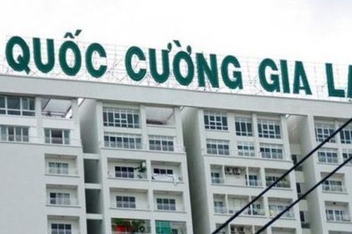 Cổ đông kiến nghị thanh tra thuế với Quốc Cường Gia Lai