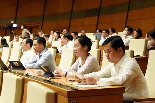 Thẳng thắn bày tỏ chính kiến, đóng góp nhiều giải pháp căn cơ