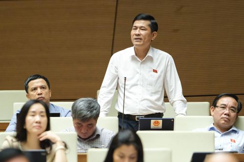 ĐBQH Thái Văn Thành (Nghệ An): Nên xây dựng thư viện sách giáo khoa