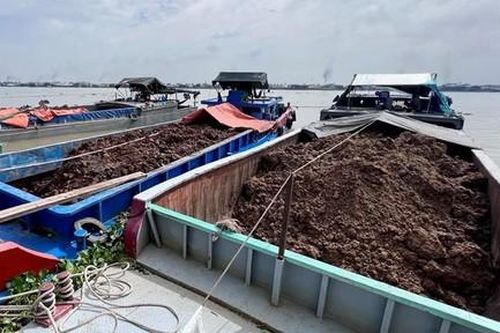 ĐBSCL: Báo động tình trạng đất mặt mua bán công khai