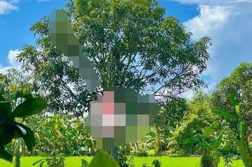 Ghen tuông, người đàn ông giết người tình rồi treo cổ tự tử