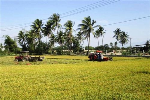 Thúc đẩy hợp tác nông nghiệp giữa Việt Nam và Liên minh châu Âu