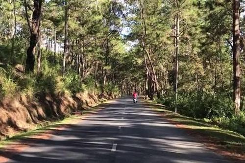Đắk Nông: Cưỡng chế thu hồi toàn bộ đất lấn chiếm rừng ven quốc lộ 28