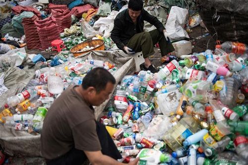 Canada, Ấn Độ tăng cường hợp tác bảo tồn và bảo vệ môi trường