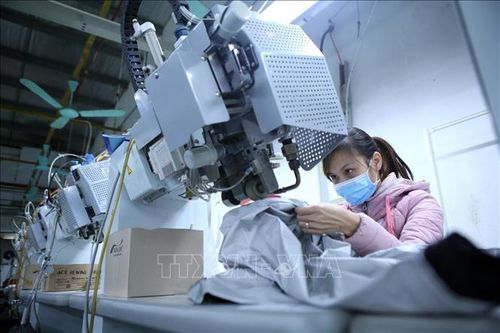 Từ 1/8 sẽ áp dụng quy tắc cụ thể mặt hàng theo Hiệp định VKFTA