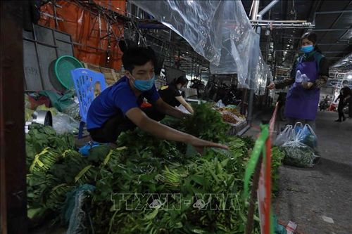 Giá rau xanh tăng mạnh do mưa to kéo dài