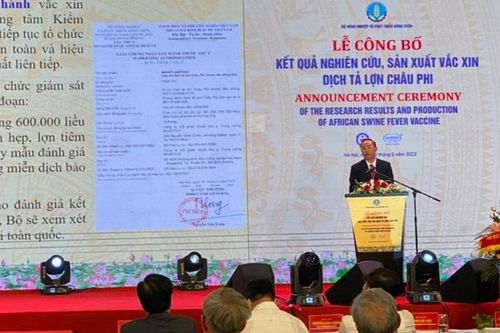 Chính thức công bố Việt Nam sản xuất thành công vaccine phòng bệnh Dịch tả lợn Châu Phi