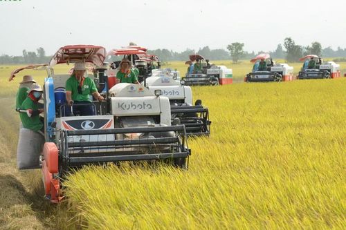 An Giang thúc đẩy đổi mới sáng tạo nông nghiệp