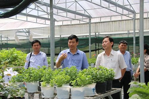 Cộng đồng doanh nghiệp góp phần vào sự phát triển chung của tỉnh