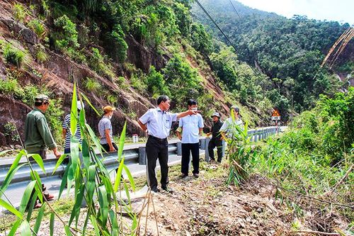 Tập trung bảo vệ rừng dọc tuyến đèo Khánh Lê - Lâm Đồng
