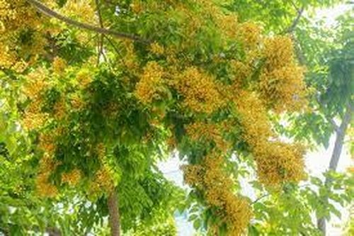 Đừng nghe đàn ông nói