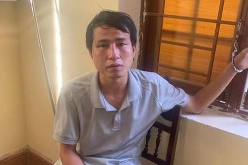 Đang trốn truy nã vẫn tiếp tục gây ra 2 vụ trộm tài sản