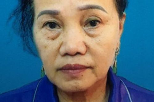 Bắt giữ người phụ nữ mua bán trẻ em ở Hải Phòng
