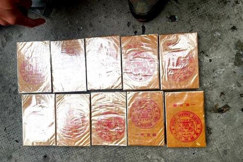 Triệt phá đường dây vận chuyển heroin xuyên quốc gia bằng đường thủy