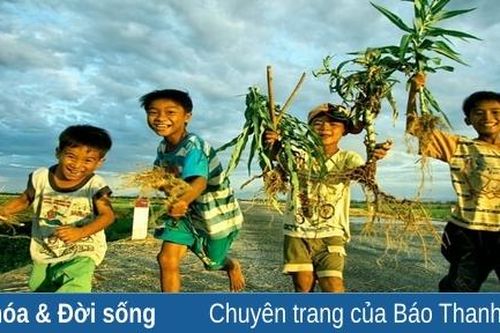 Ký ức những ngày hè rực rỡ