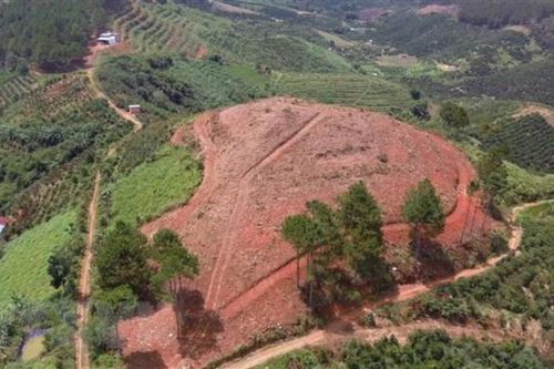 EU tài trợ 5 triệu Euro bảo vệ rừng bền vững tại Đắk Nông và Lâm Đồng
