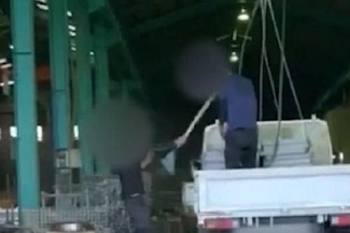 Nhật Bản phạt tổ chức giới thiệu việc cho lao động Việt bị đánh đập