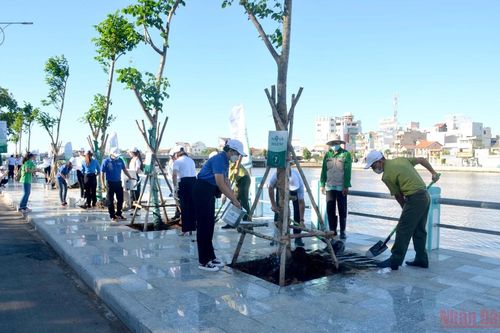 Bình Thuận phát động trồng cây xanh hưởng ứng Ngày Môi trường thế giới