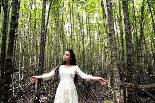 Rừng ngập mặn Cần Giờ xuất hiện trong MV của Bella Vũ