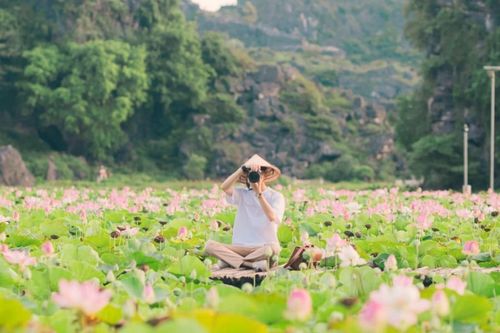 Mùa sen nở ở Hang Múa đẹp như tiên cảnh chốn nhân gian